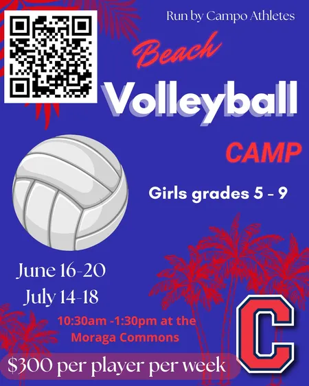 Beach Volleyball Camp Flyer